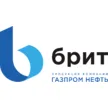 Рулонная кровля Брит
