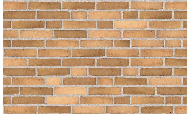 Плитка Randers Tegl Prima RT495, 228х54х35 мм