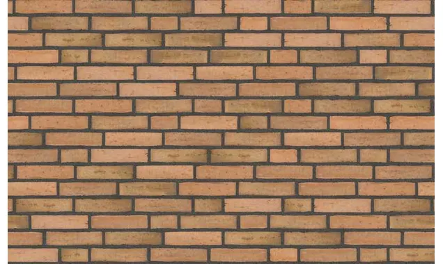 Плитка Randers Tegl Classica RT433, 228х54х20 мм