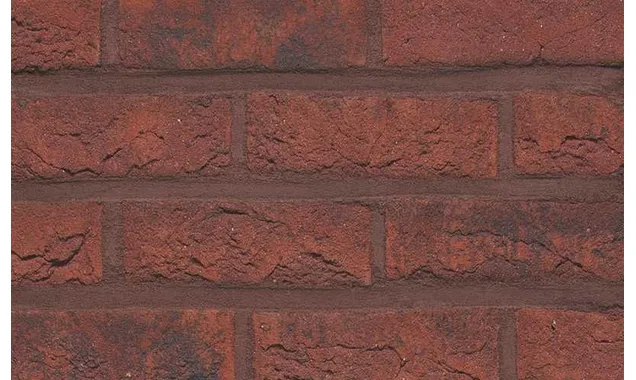 Облицовочный кирпич Terca Portsmouth, 215х45-50х65 мм