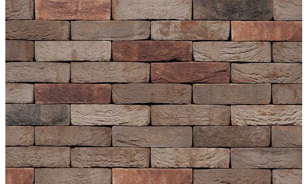Кирпич S.Anselmo Custom blend DB, Selmo, 250х60х55 мм