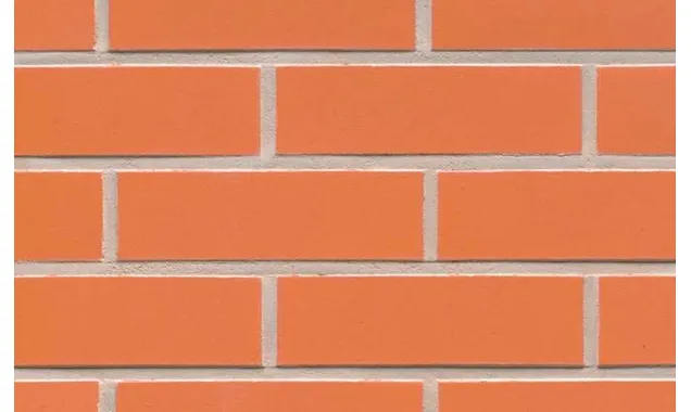 Клинкерная плитка Feldhaus Klinker NF 9 R220 terracotta liso 240х71х9 мм