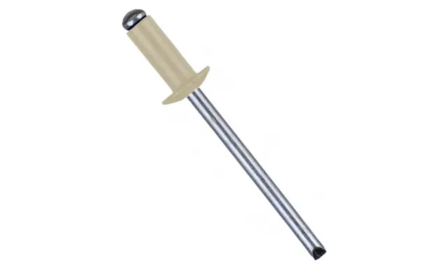 Заклёпка вытяжная Daxmer 4,8х12 RAL 1014 (10х1000 шт) ал/ст