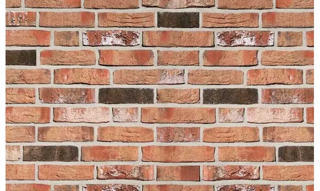 Плитка Roben Moorbrand Torf-bunt, 240х71х14 мм