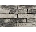 Керамическая плитка Joseph Bricks Poppy, двойной обжиг, 214х65х24 мм