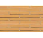Кирпич клинкерный Muhr 01 Niederlausitzer Gelb гладкий, 290х90х40 мм