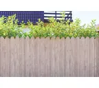 Профлист Grand Line C20В 0.45 Print Elite Milky wood