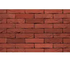 Кирпич S.Anselmo Superior Line Damasco, Selmo, 250х60х55 мм