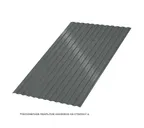 Профлист Металл Профиль МП10 0.5 PURETAN® RR 23 Темно-серый A