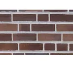 Плитка Randers Tegl Prima RT434, 215х65х20 мм