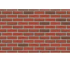 Клинкерная плитка ручной формовки Feldhaus Klinker NF 14 R436 ardor mana 240х71х14 мм
