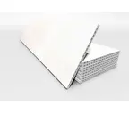 Керамогранитная плита FAVEKER GA20 для НФС, Urban Blanco, 1000*300*20 мм