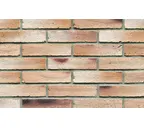 Кирпич клинкерный Muhr 37_06 K Serie mondan Kohle Wasserstrich, 240х71х50 мм