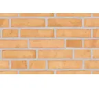 Плитка Randers Tegl Classica RT210, 228х54х35 мм