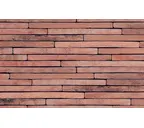 Кирпич S.Anselmo Corso Selmo EC, 500х100х40 мм