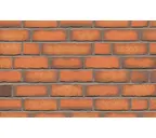 Клинкерная плитка ручной формовки Feldhaus Klinker NF 14 R758 vascu terracotta 240х71х14 мм