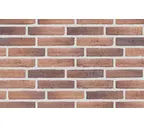 Плитка Randers Tegl Prima RT450, 228х54х35 мм