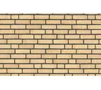 Плитка Randers Tegl Classica RT215, 250х65х20 мм