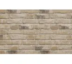 Кирпич облицовочный Westerwaelder Klinker WK959 Monaco, 210х100х65 мм
