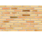 Плитка Randers Tegl Fusion RT573, 228х54х20 мм