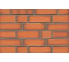 Клинкерная плитка ручной формовки Feldhaus Klinker NF 14 R718 accudo terracotta vivo 240х71х14 мм