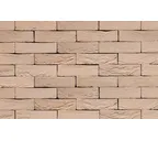 Кирпич S.Anselmo Superior Line Roma, Selmo, 250х120х55 мм