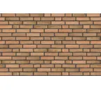 Плитка Randers Tegl Classica RT433, 228х54х20 мм