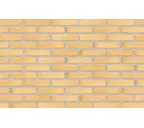 Плитка Randers Tegl Classica RT410, 228х54х35 мм