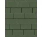 Тротуарная плитка Выбор Прямоугольник Б.5.П.10 600х300х100 мм Зеленый Гранит