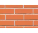 Клинкерная плитка ручной формовки Feldhaus Klinker NF 14 R220 terracotta liso 240х71х14 мм