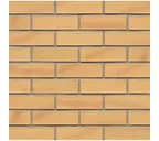 Кирпич клинкерный Muhr 02 Gelb Bunt готик, 290х90х40 мм
