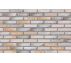 Плитка Randers Tegl Classica RT575, 228х54х20 мм