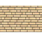 Кирпич облицовочный Randers Tegl Classica RT215, 215х102х65 мм