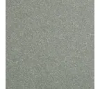 Фиброцементная панель Equitone natura N250 12х1250х3100