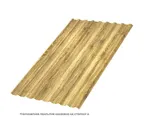 Профлист Металл Профиль МП20 0.5 ECOSTEEL® текстурированный двусторонний Золотой дуб A