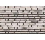 Плитка Randers Tegl Prima RT478, 240х71х35 мм