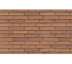 Кирпич клинкерный Muhr 08 Lachsrot Wasserstrich, 240х71х50 мм