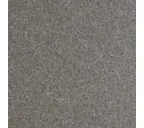 Фиброцементная панель Equitone natura N294 12х1250х3100