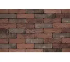 Кирпич S.Anselmo Custom blend HS, Selmo, 250х120х55 мм