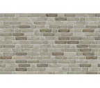 Кирпич облицовочный Nelissen CAP GRIS NEZ, 215х100х65 мм