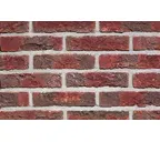 Кирпич облицовочный Terca Blauw-Rood Genuanceerd, 210х100х50 мм