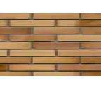 Кирпич клинкерный Muhr 06 EG Hellbraun-bunt Edelglanz гладкий, 290х90х40 мм