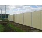 Профлист Металл Профиль C8 0.35 Полиэстер RAL 1014 Слоновая кость B