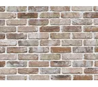 Кирпич S.Anselmo Antic Line VGWA, Selmo, 240х55х70 мм