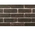 Кирпич облицовочный Тандем (Донские зори) Моховое, 215х50х65 мм
