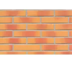 Клинкерная плитка ручной формовки Feldhaus Klinker NF 14 R208 amari viva liso 240х71х14 мм