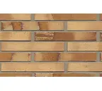Кирпич клинкерный Muhr 06 S Hellbraun-bunt Spezial гладкий, 290х90х40 мм
