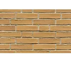 Кирпич клинкерный Muhr 06 Hellbraun-bunt Wasserstrich, 240х52х52 мм