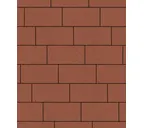 Тротуарная плитка Выбор Прямоугольник Б.5.П.10 600х300х100 мм Стандарт Красный